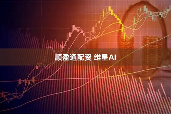 顺盈通配资 维星AI