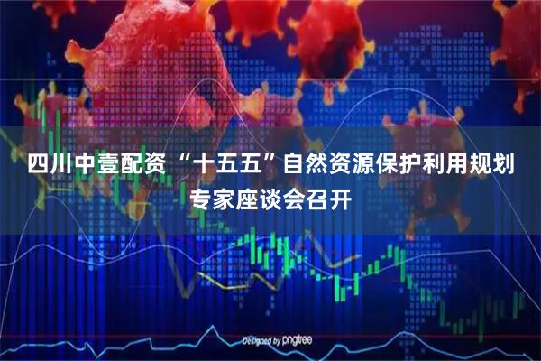 四川中壹配资 “十五五”自然资源保护利用规划专家座谈会召开
