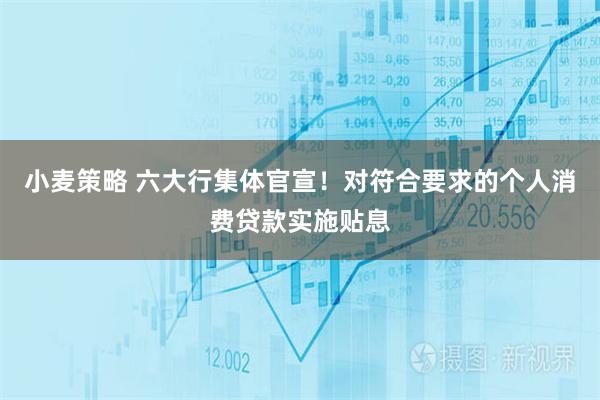 小麦策略 六大行集体官宣！对符合要求的个人消费贷款实施贴息