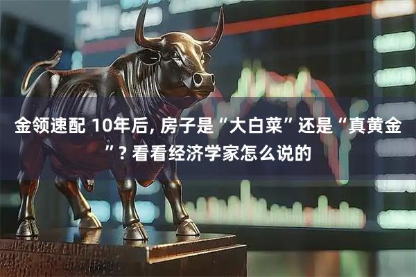 金领速配 10年后, 房子是“大白菜”还是“真黄金”? 看看经济学家怎么说的